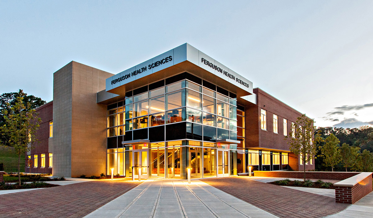 Individual Tax Services